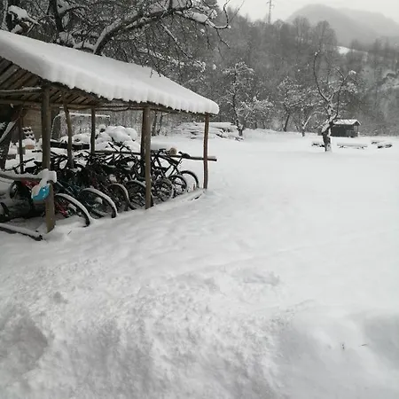 Complex Turistic Nora Hostel *